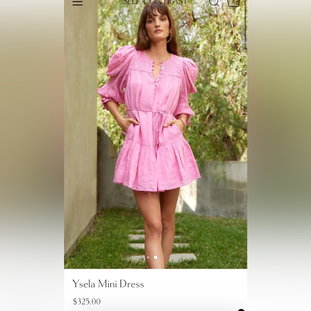 Pink Ruffled Dress - Picture 1 of 4